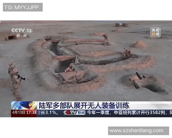 以进攻为核心策略的现代战争模式及其应用分析