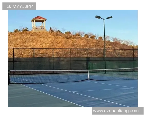 北京网球队的速度提升与训练策略探讨聚焦网球发展新方向